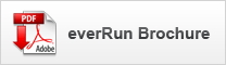 everRun pdf